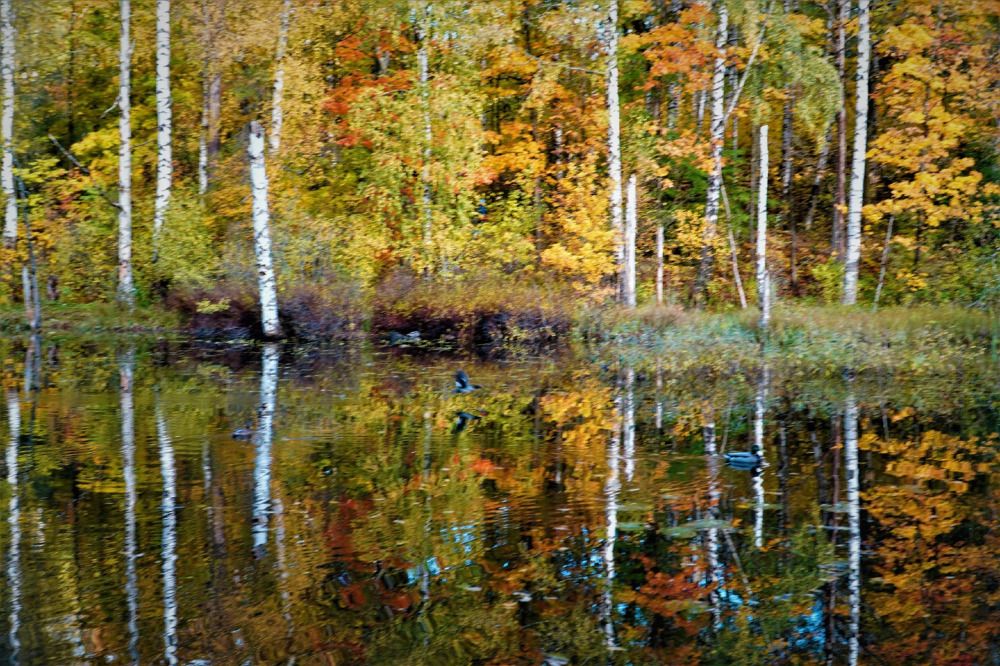 Photograph by Марина Безенкина