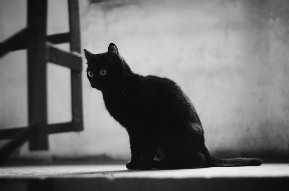 Photograph by Дарья