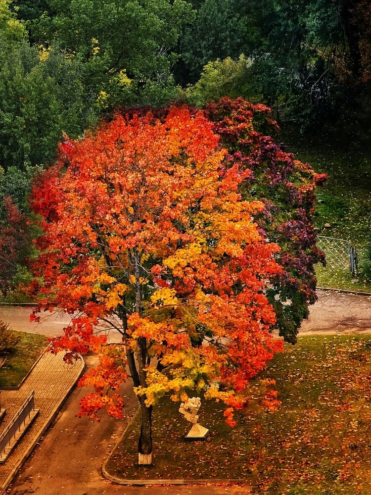 Photograph by Елена Ямнюк