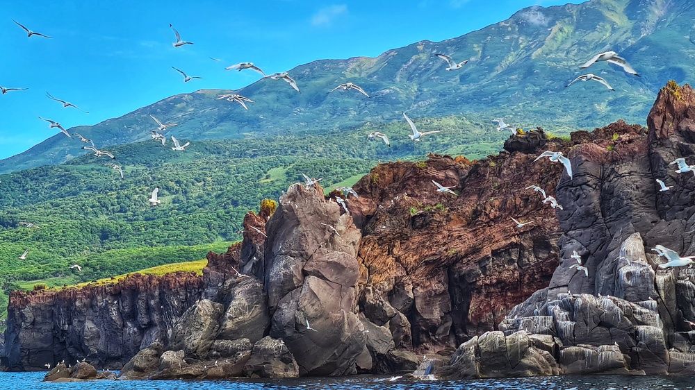 Photograph by Оксана Новикова