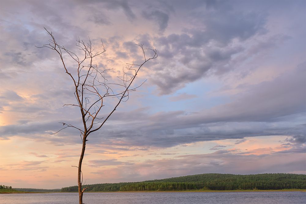 Photograph by Ирина Собова