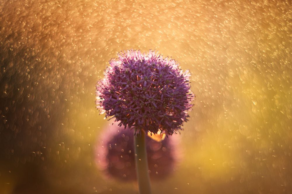 Photograph by Vyacheslav Bolyakin