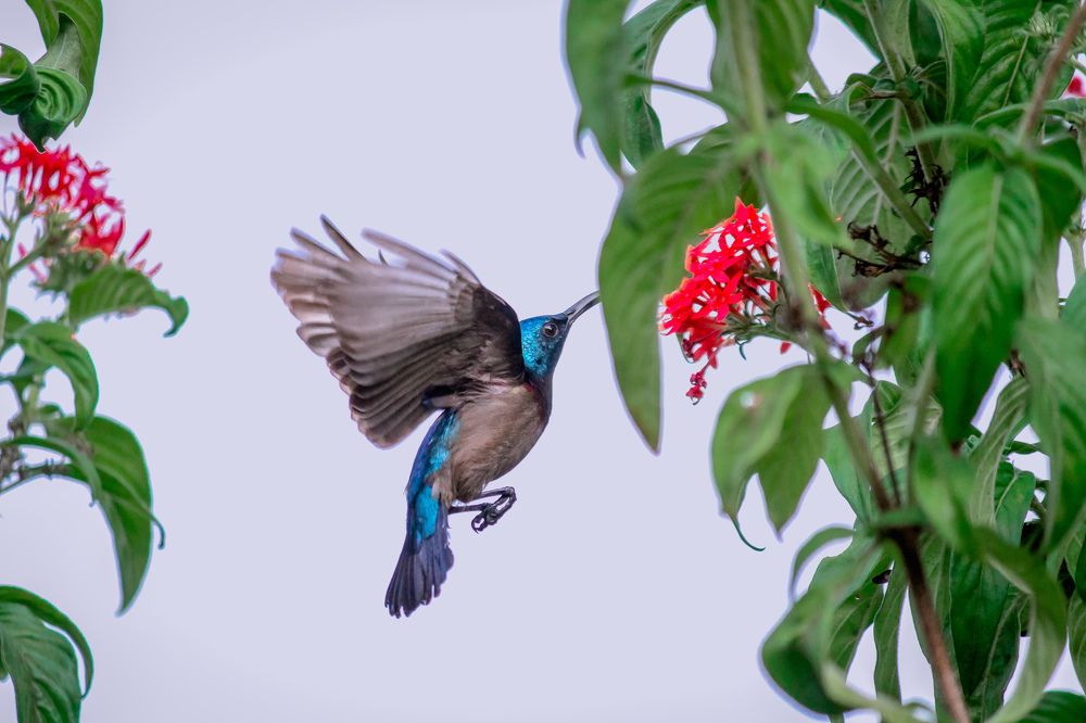 Photograph by RAHUL MOHANDAS