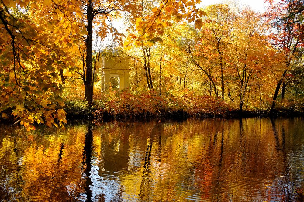 Photograph by Андрей Вестмит