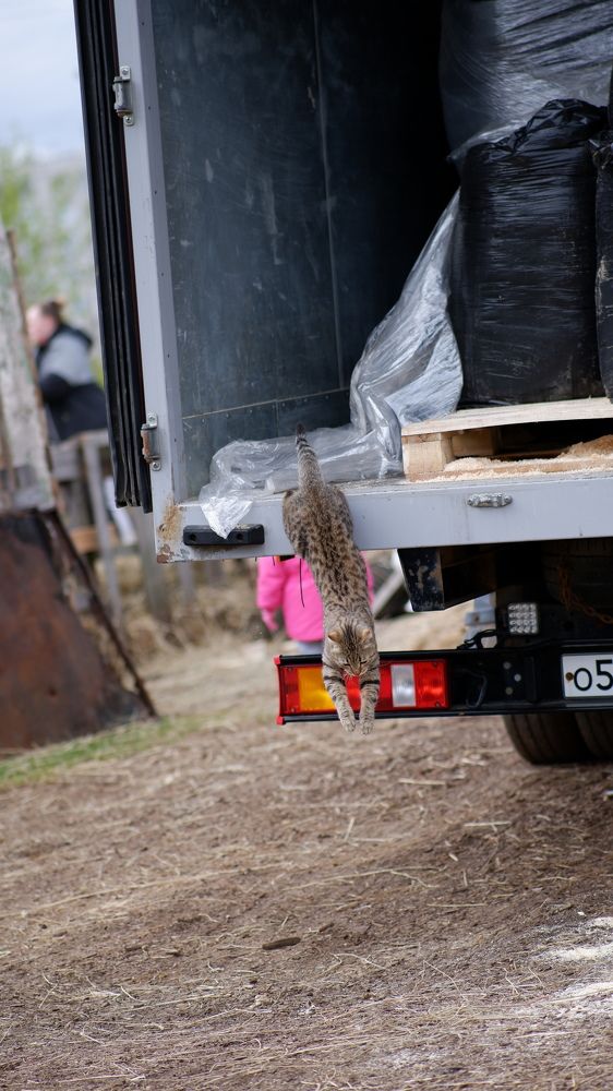 Photograph by Алексей Миронов