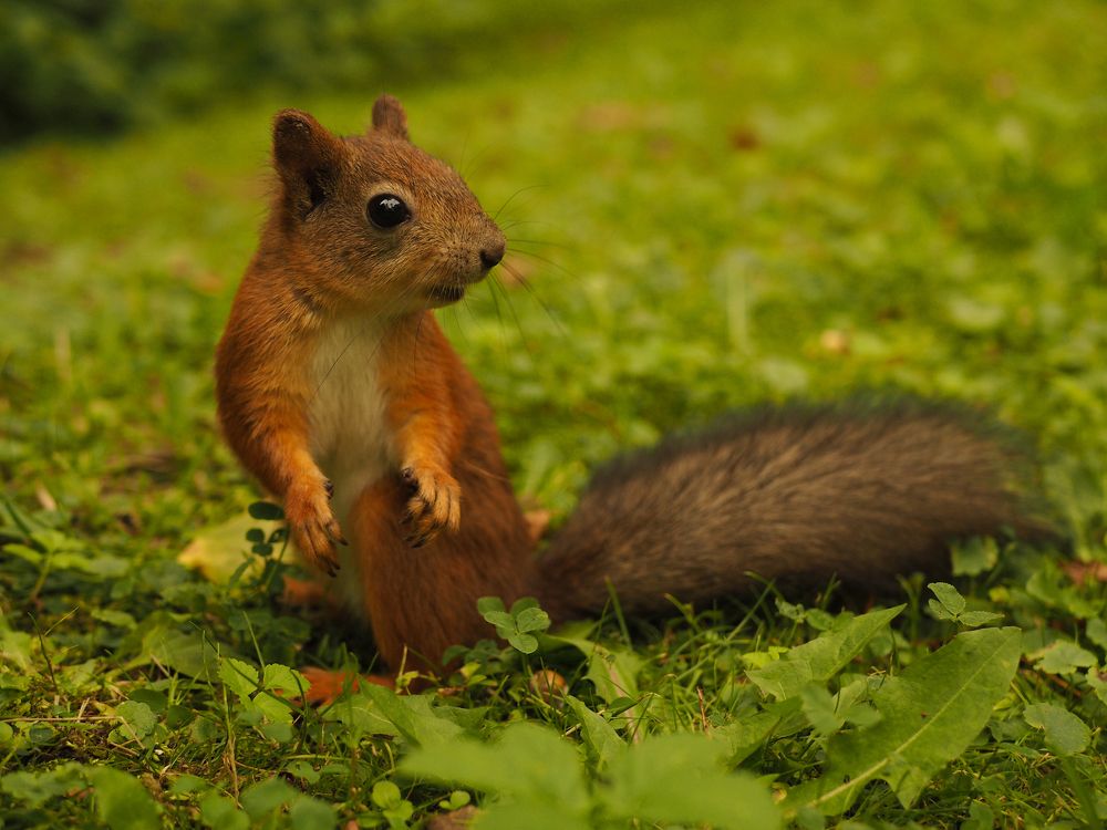 Photograph by Елена Шишкина