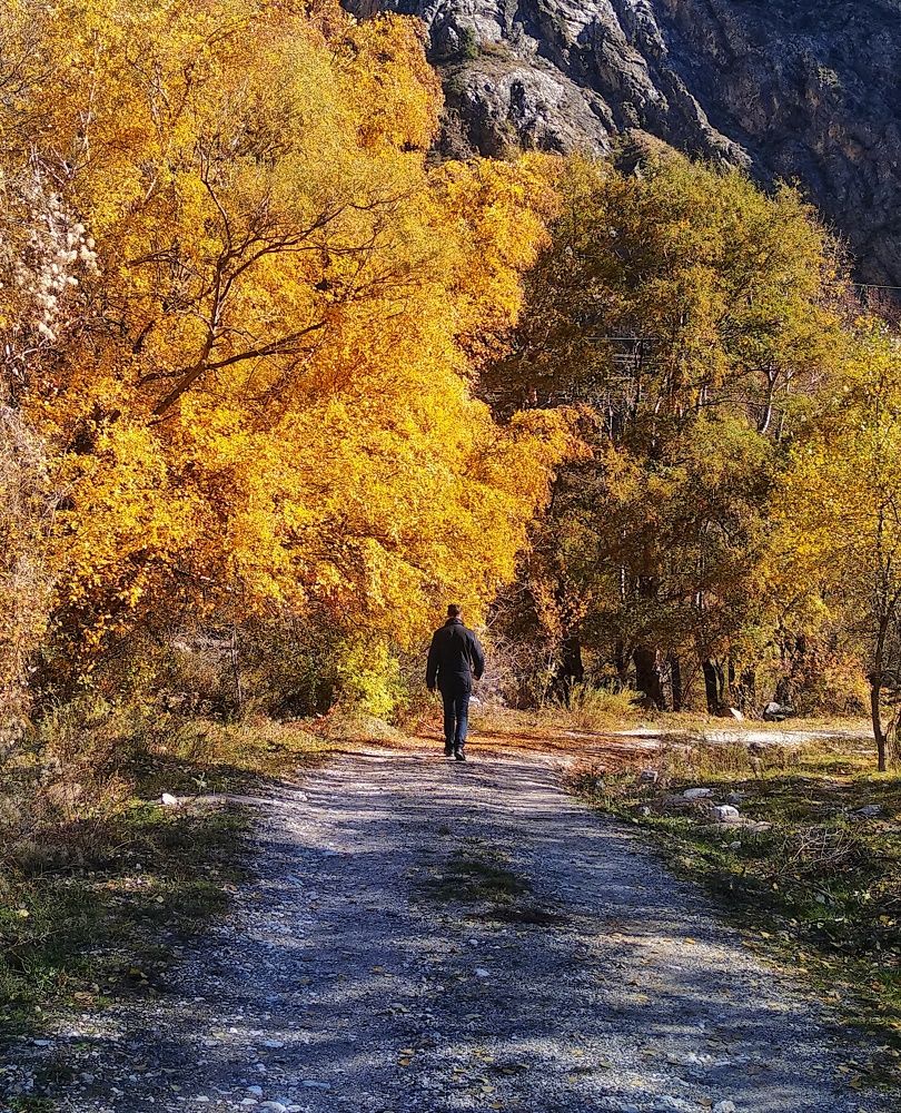 Photograph by Орынбек Асилбаев