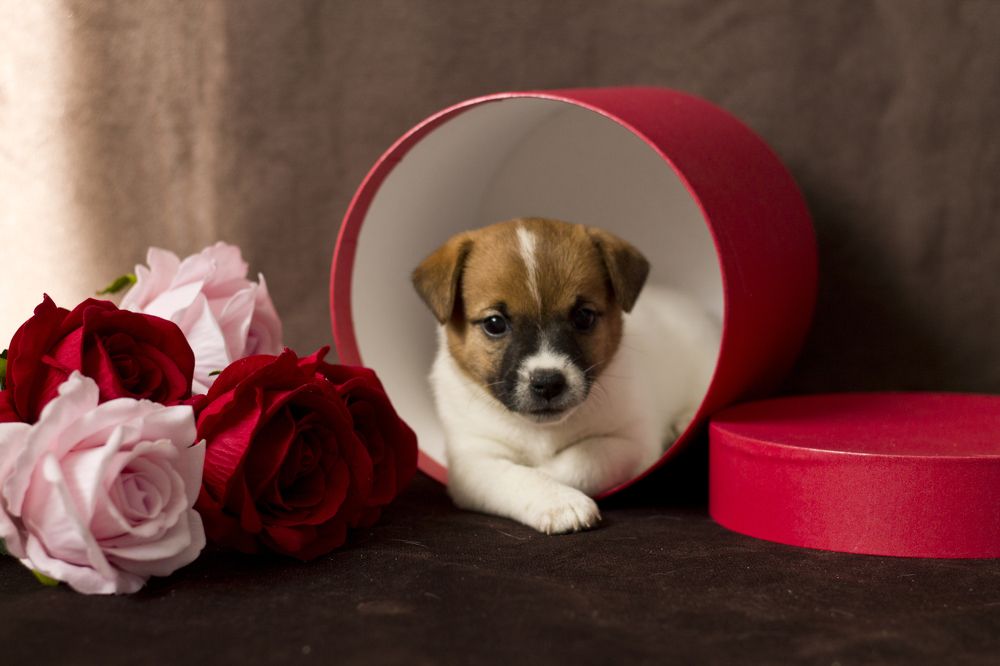 Photograph by Ирина Ганина