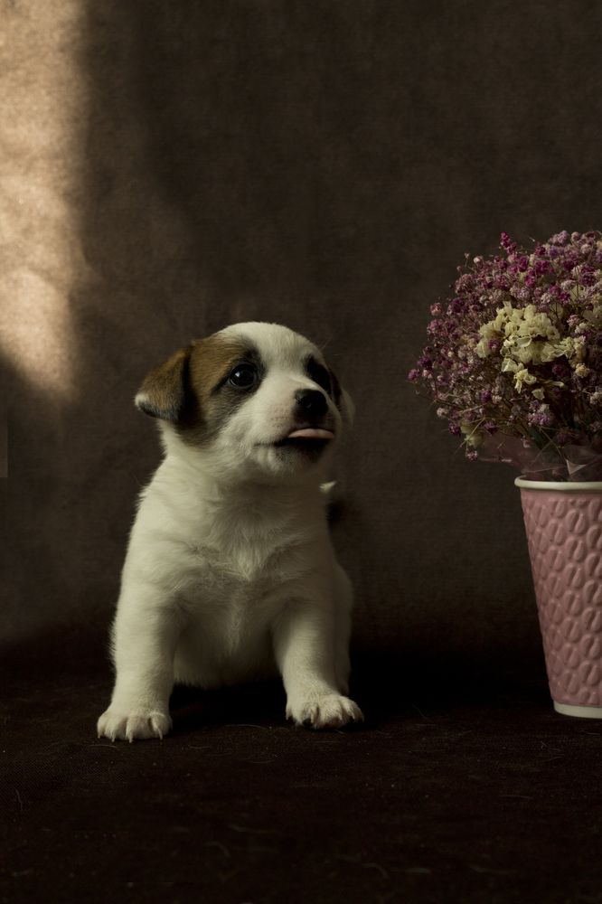 Photograph by Ирина Ганина