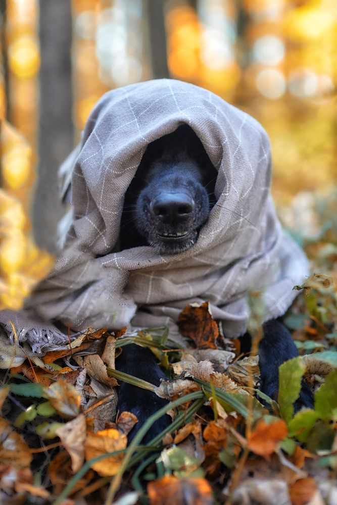 Photograph by Ксения Базарова