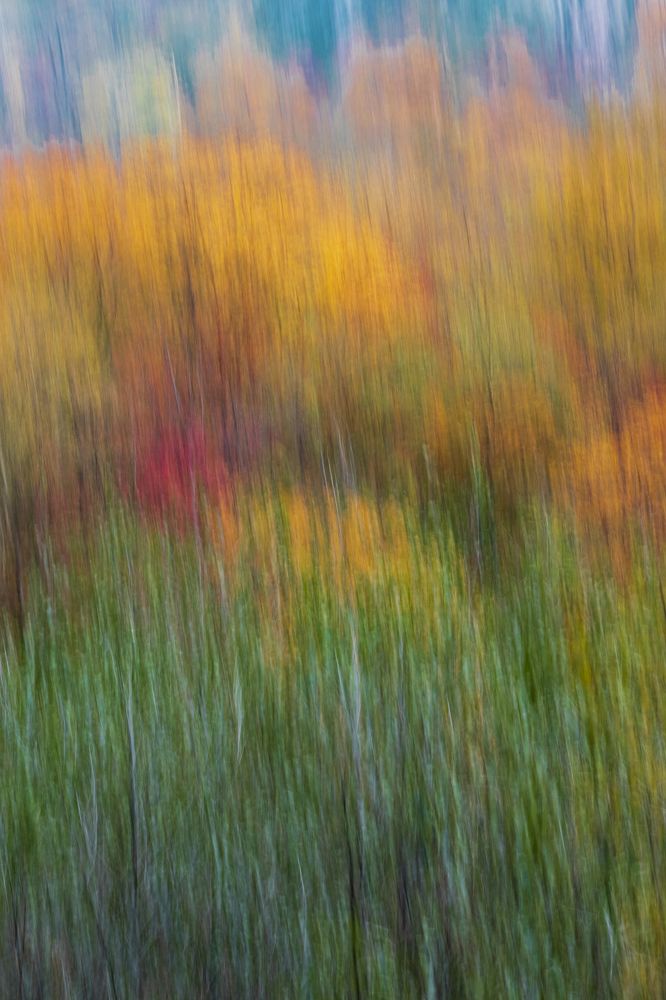 dance of magical colors