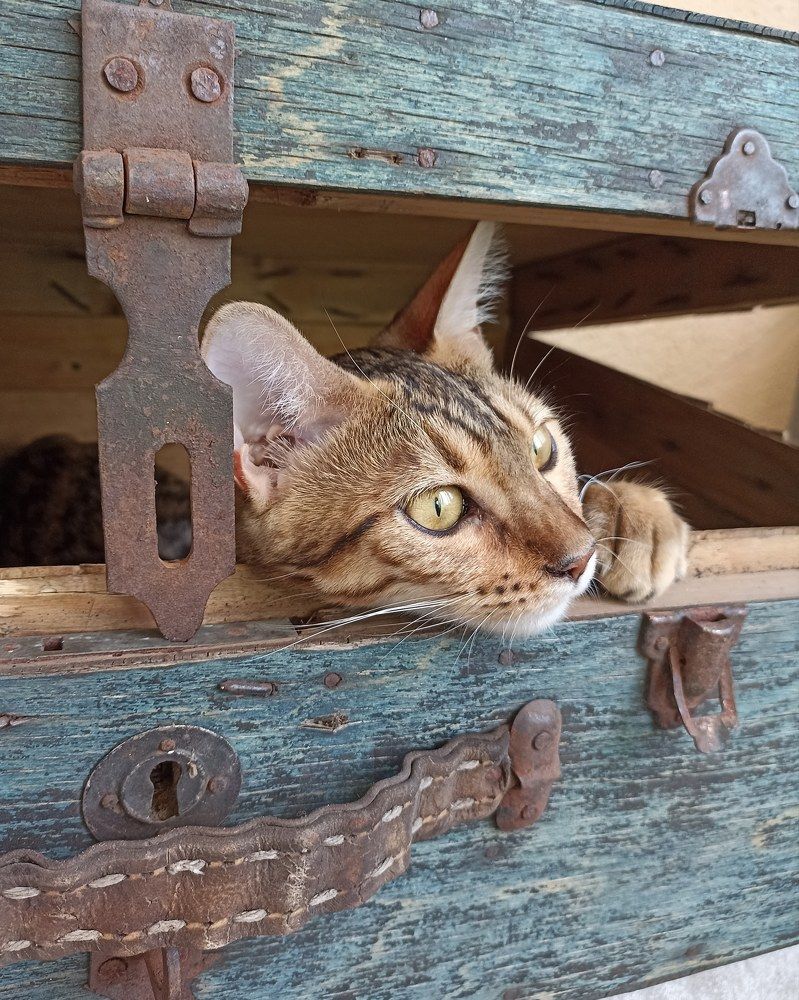 Photograph by Ирина Чагина