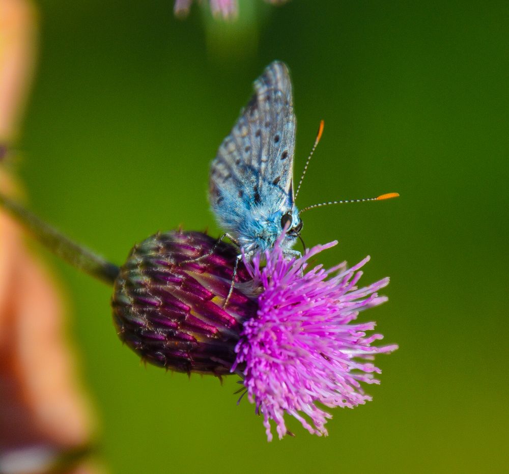 Photograph by Ольга Андронова