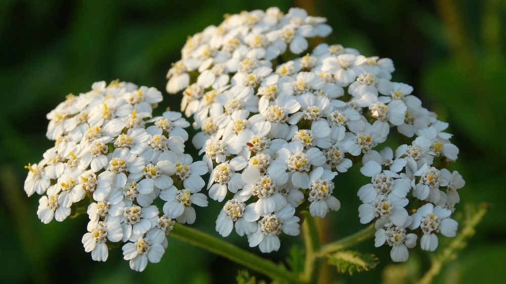 Photograph by Maria Shirokikh