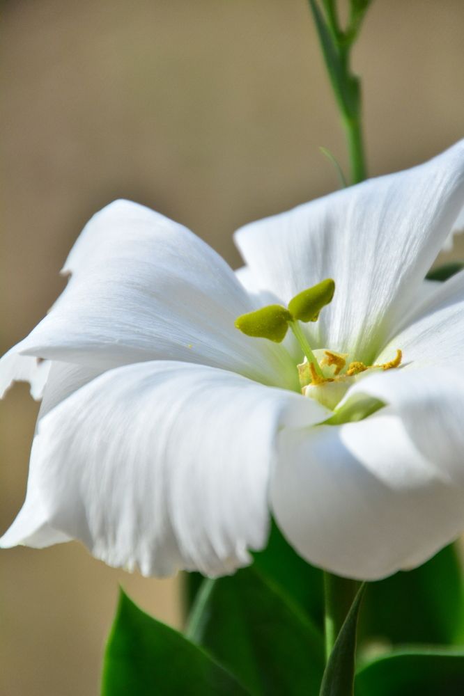 Photograph by Ольга Андронова