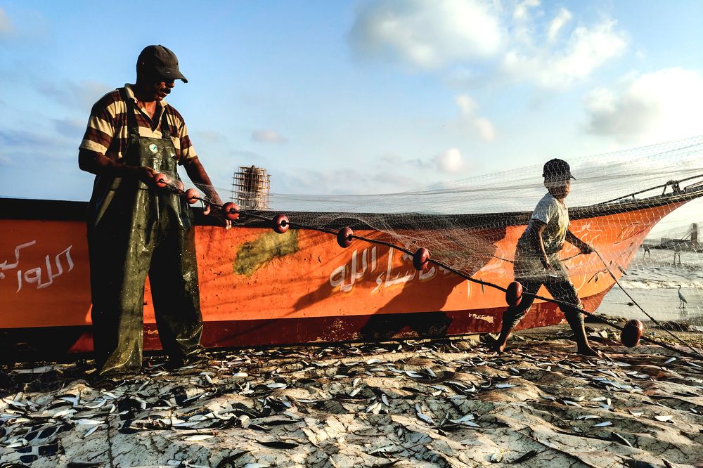 Фотография автора Ahmed Flex