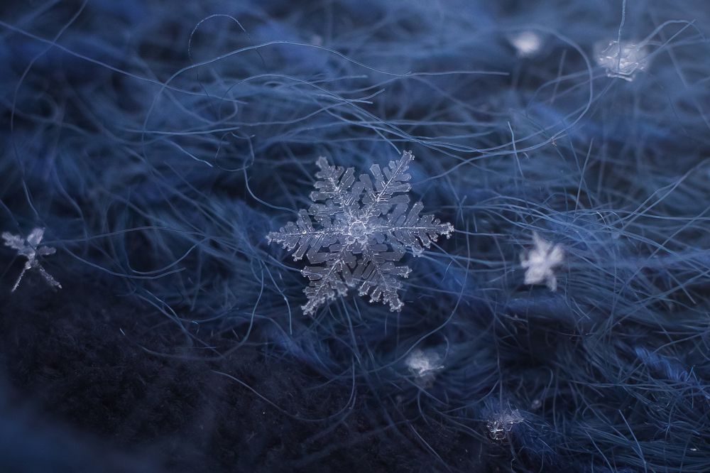 Photograph by Виктория Мамаева