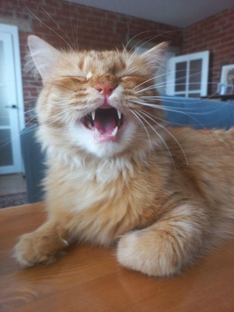 Photograph by Екатерина Пенежина