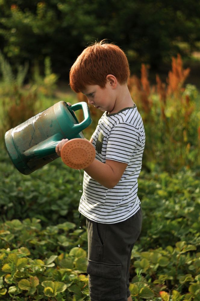 Photograph by Евгения Куценко