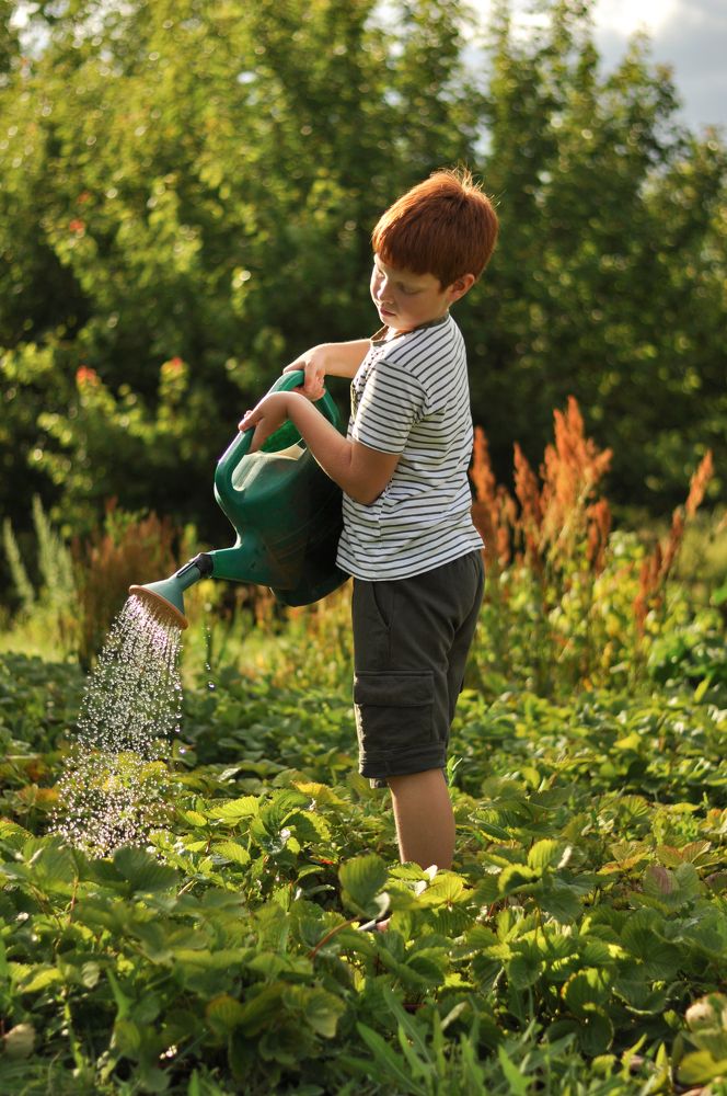 Photograph by Евгения Куценко