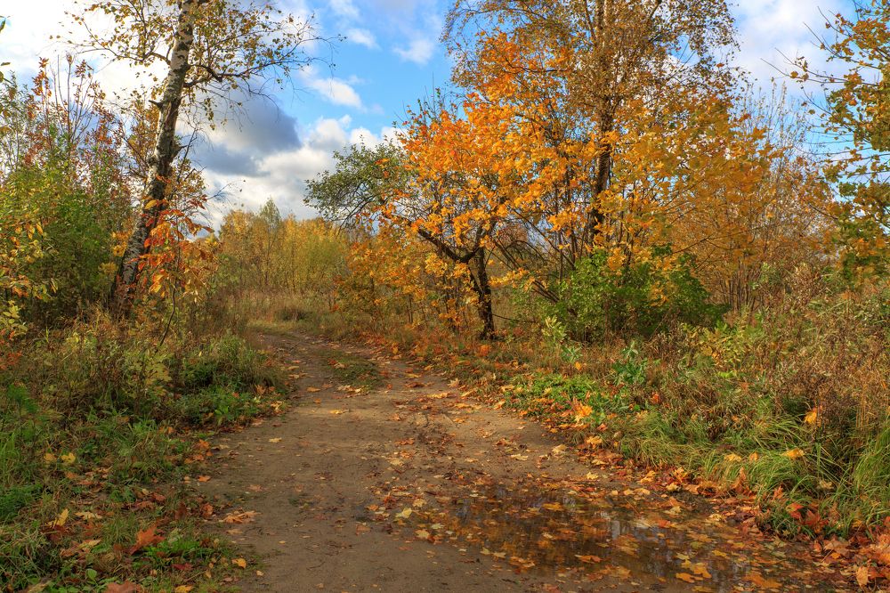 Photograph by Александр Литвинов