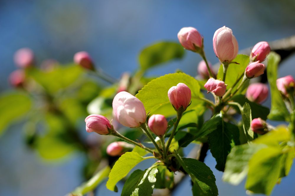 Photograph by Андрей Вестмит