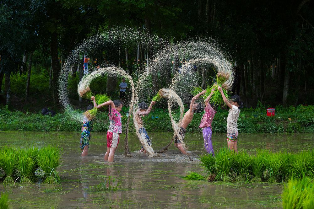 Photograph by Phúc Đoan Nguyễn