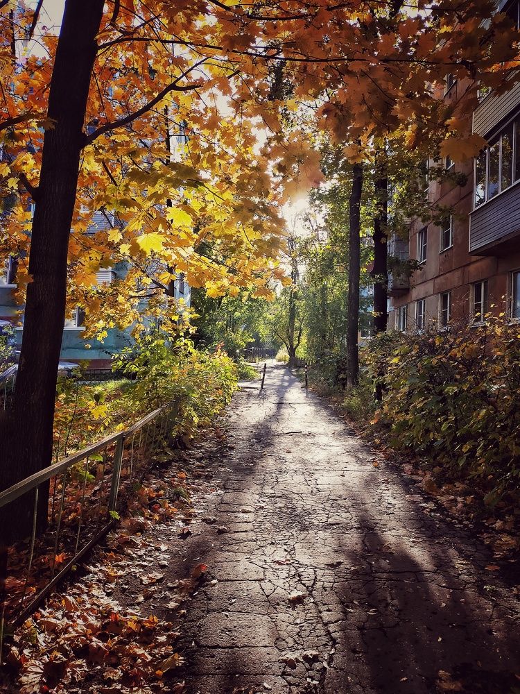 Photograph by Ольга Мартьянова