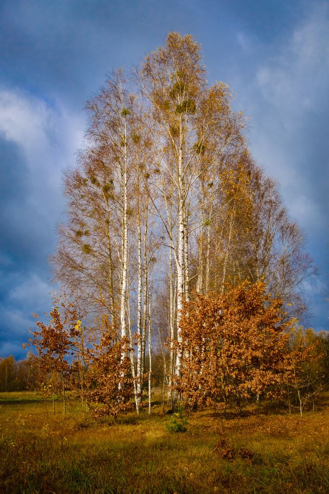 Photograph by Наталия Морозова