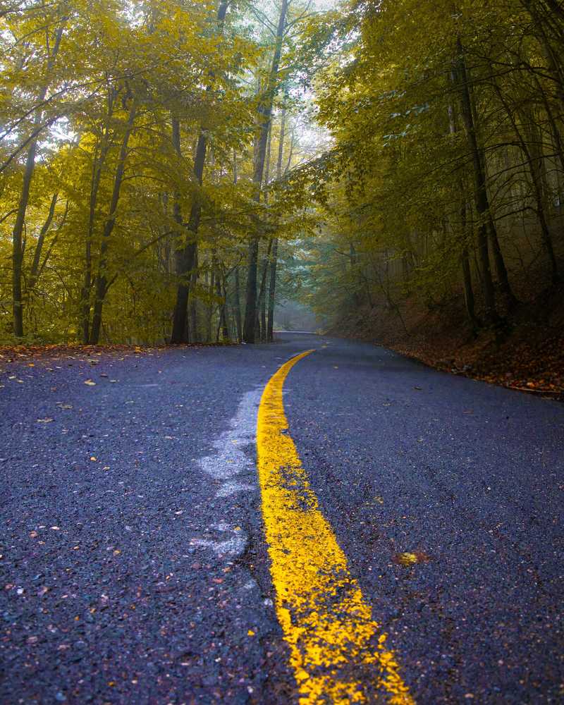 Фотография автора ehsan kaviani