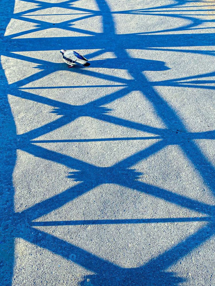 Photograph by Svetlana
