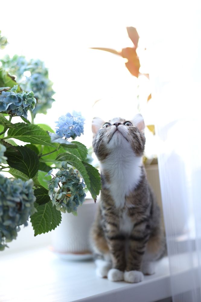 Photograph by Бальзирова Наталья