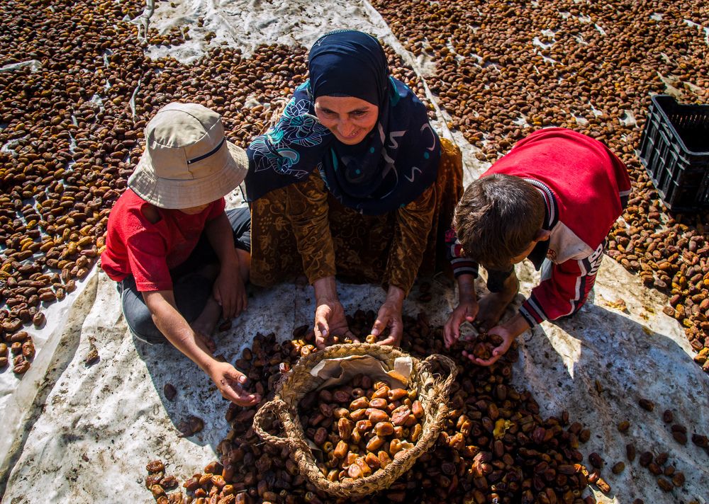 Фотография автора Ahmed Flex