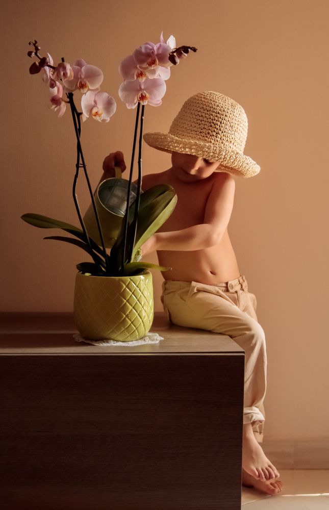 Фотография автора Aleksandra Choporova