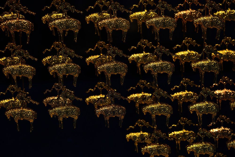 Photograph by Paolo Mola