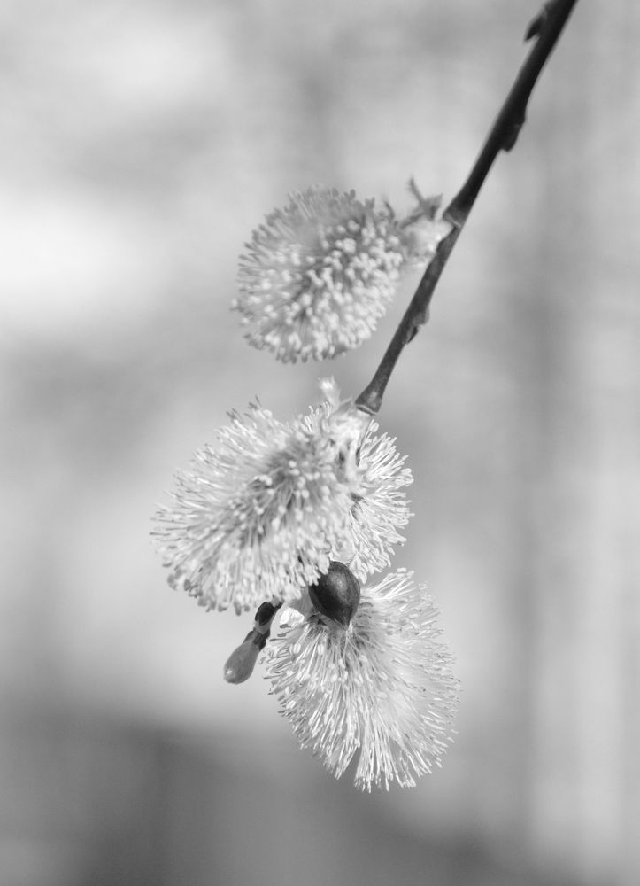 Photograph by Анна Морозова