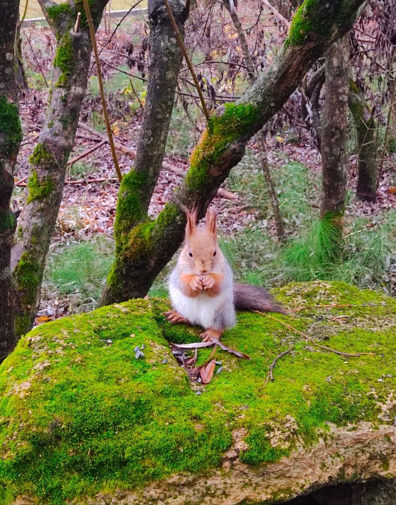 Photograph by Александра