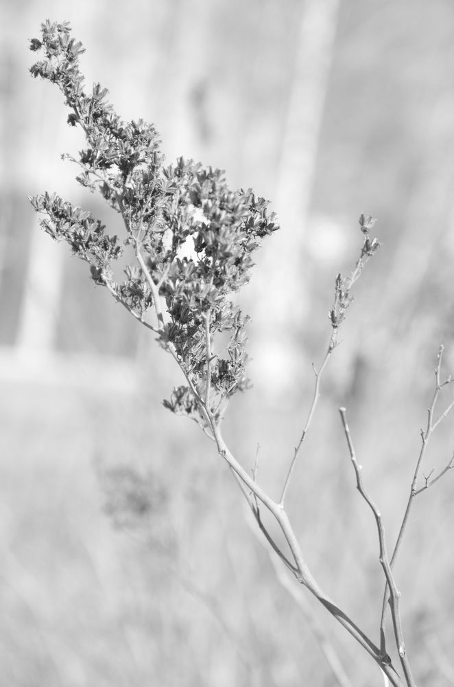 Photograph by Анна Морозова