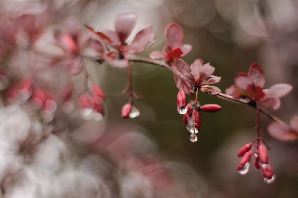 Photograph by Антон Иванов