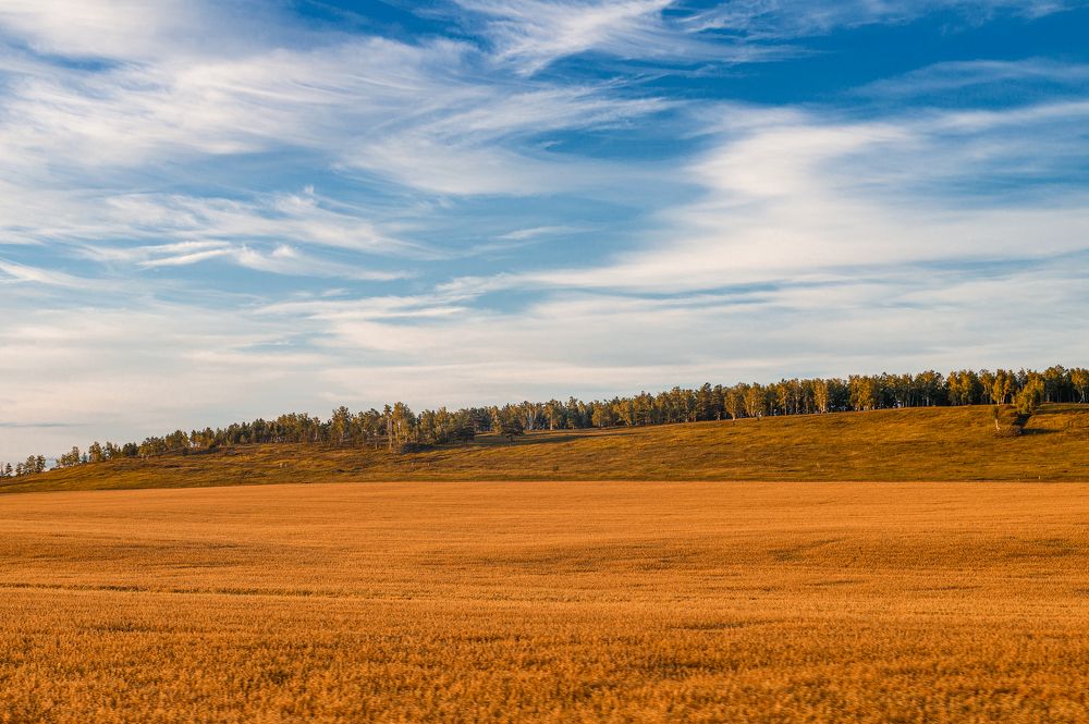 Photograph by Мария Кравченко