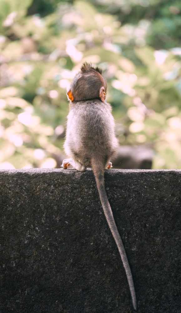 Фотография автора Наталья Князева