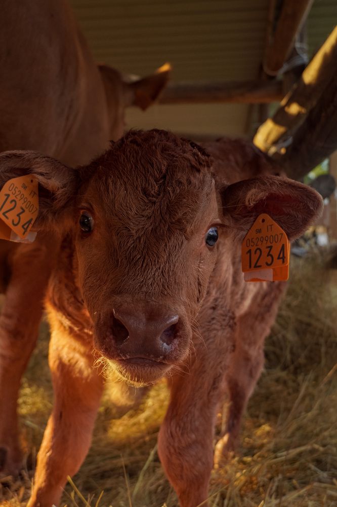 Фотография автора Наталья Князева
