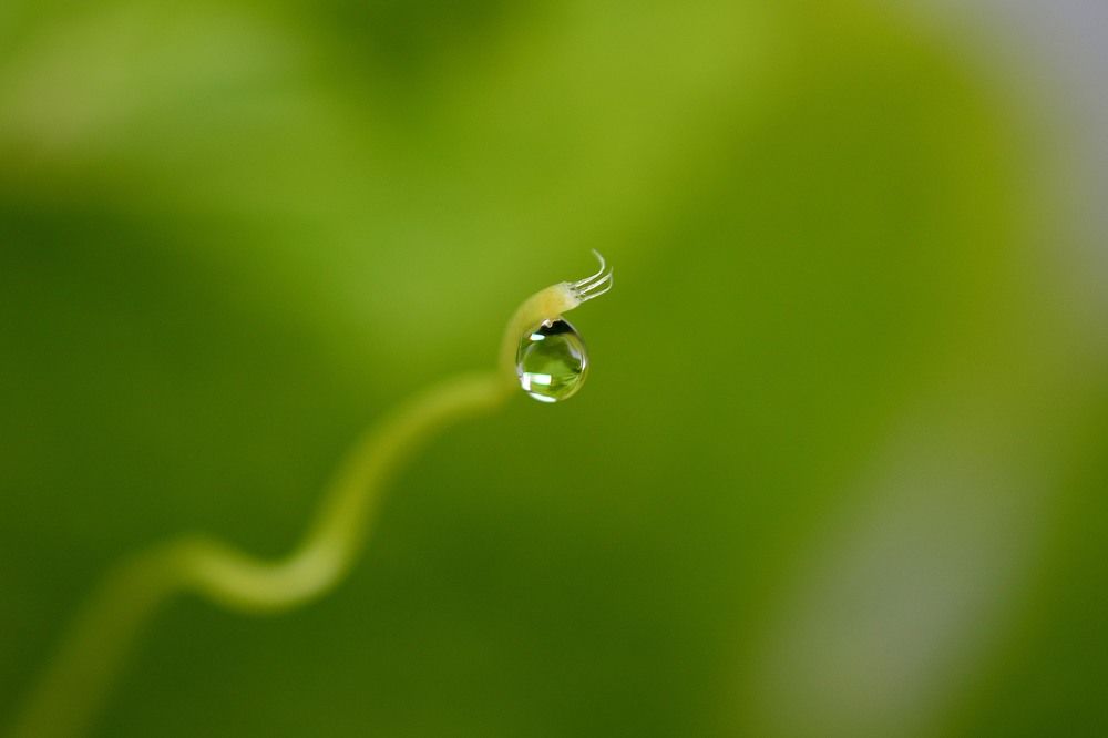 Photograph by Андрей Вестмит