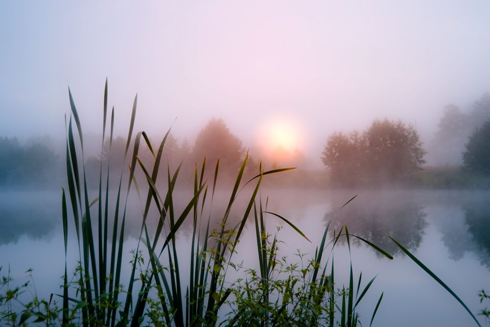 Начиналось утро