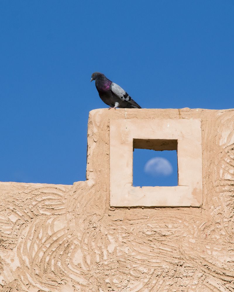 Фотография автора Ahmed Flex