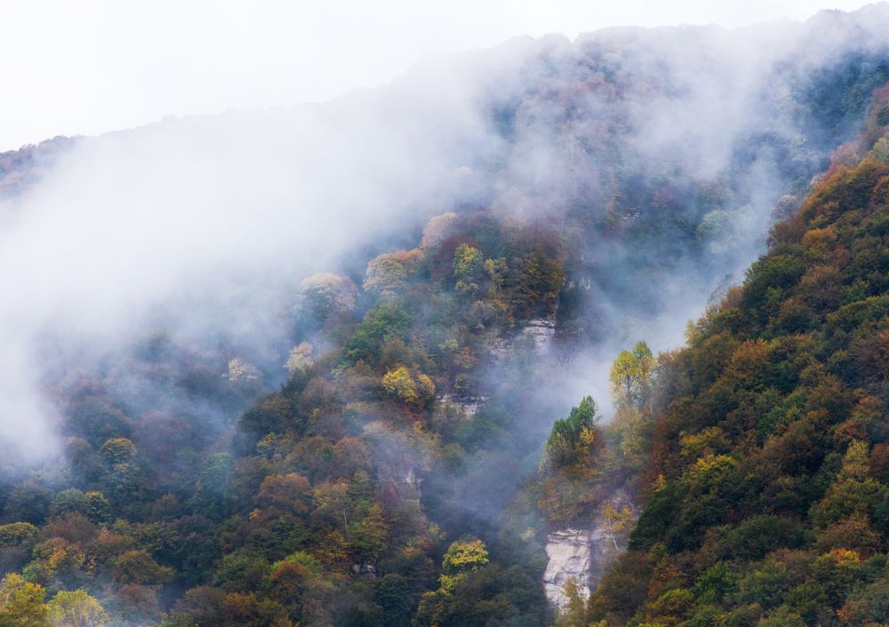 Photograph by Анна Бокова