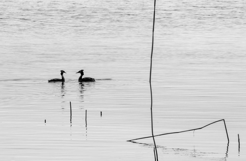 Photograph by Татьяна Чичковская