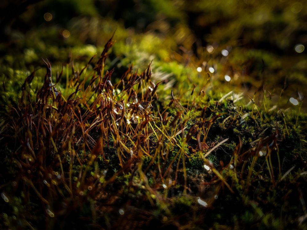 Photograph by Влад Апанасов