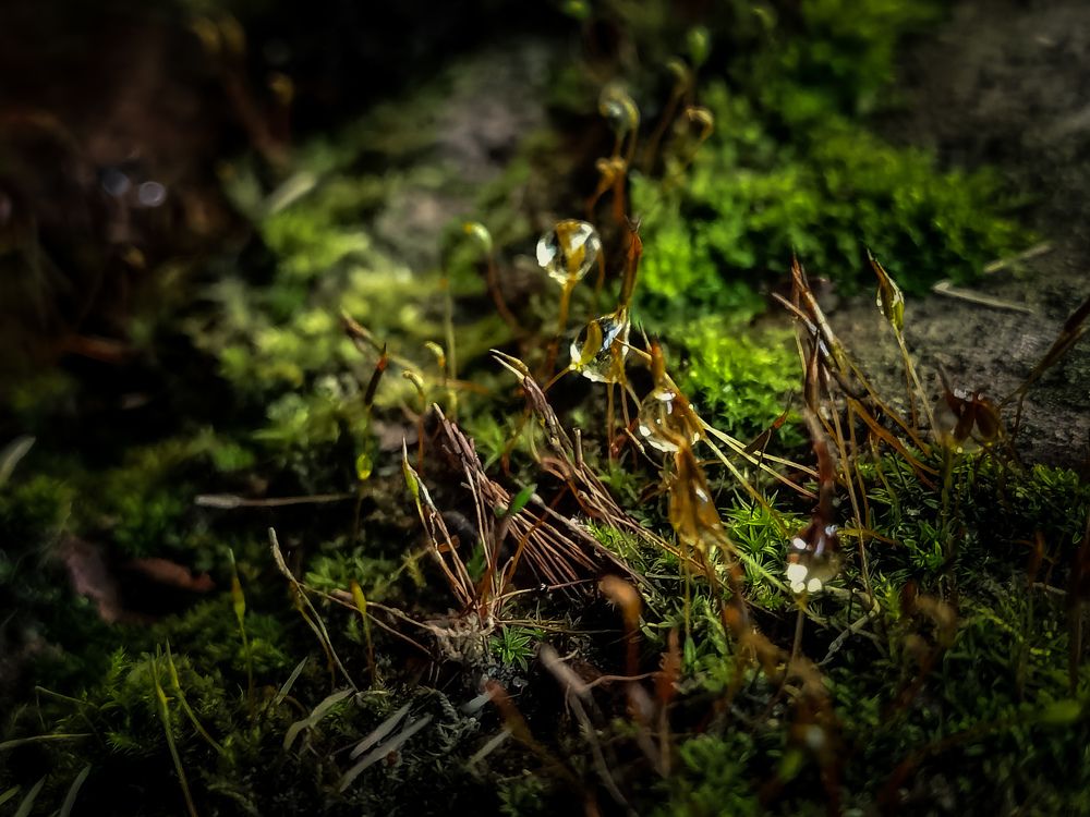 Photograph by Влад Апанасов