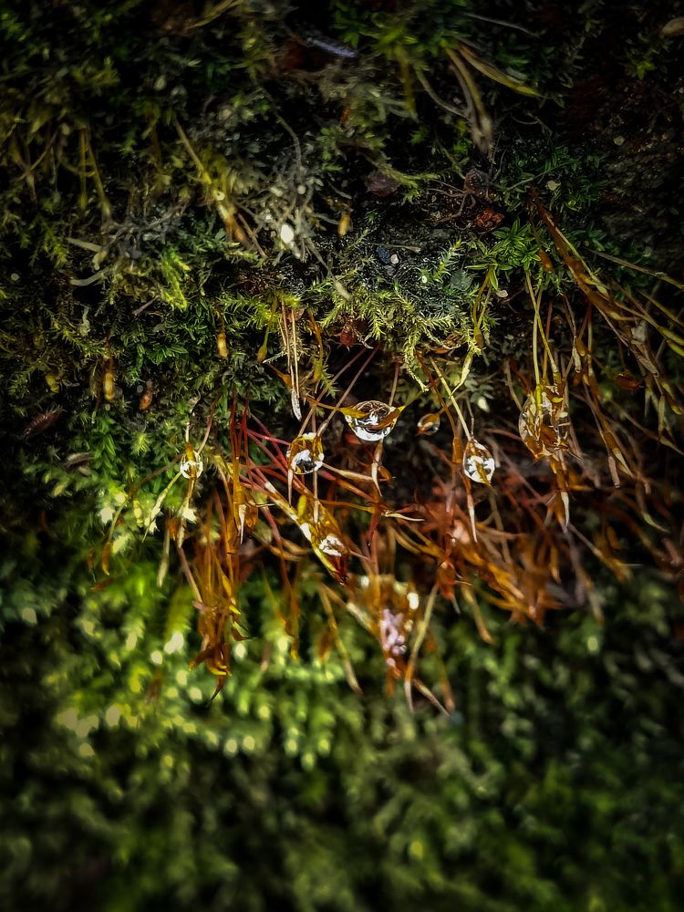 Photograph by Влад Апанасов